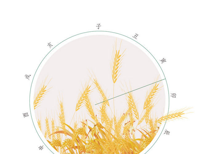中国传统节气芒种麦子圆框素材