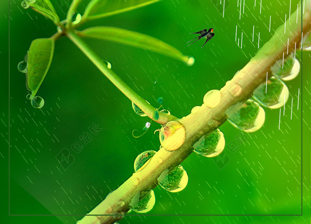 翠绿嫩芽水滴谷雨二十四节气绿色海报背景