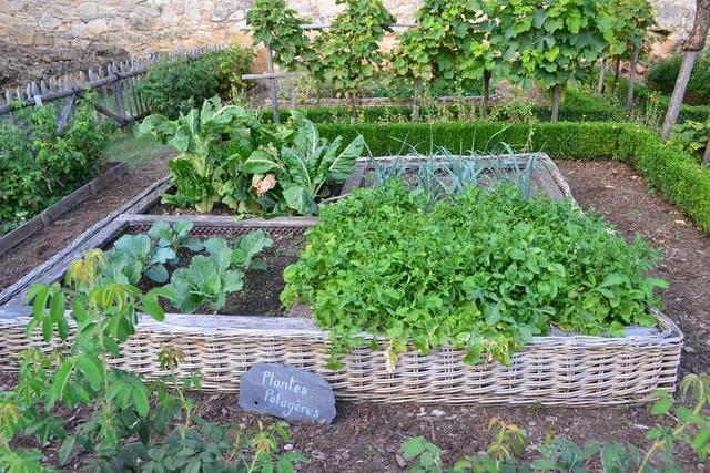 菜园 中世纪的花园 城堡 DE CASTELNAUD