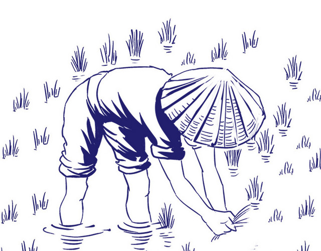 插秧单个人物素材