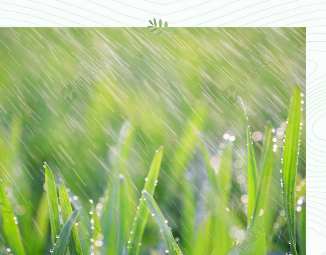 细雨水滴禾苗谷雨二十四节气绿色海报背景