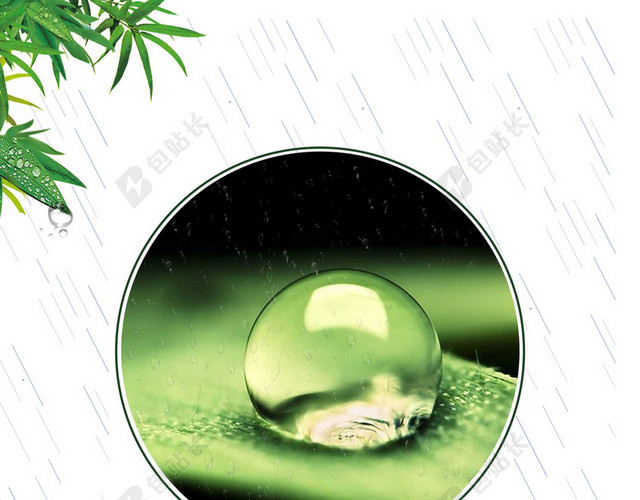 雨中竹子叶上水滴谷雨二十四节气白色海报背景