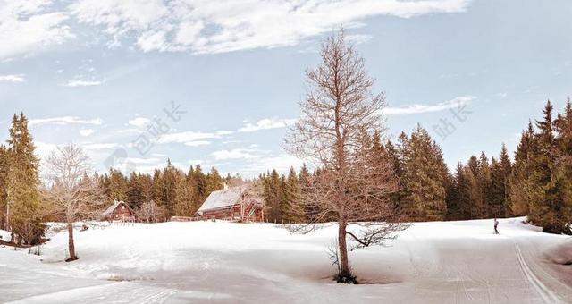 寒冬 阿尔姆 高山 山上的小屋 雪 棚屋 景观 山 冷