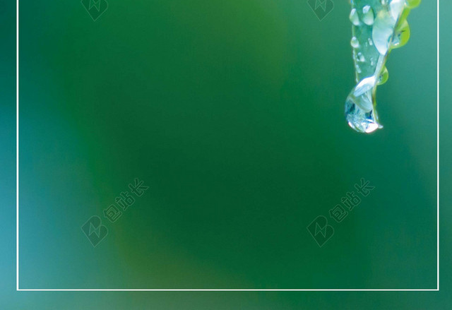 纯色水滴光华谷雨二十四节气绿色海报背景