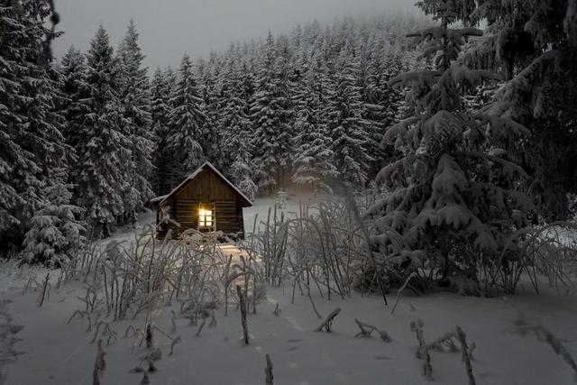机舱 松树 荒野 自然 山寨 农村 冬天 房子 雪 小木屋