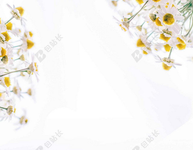 黄花绿草4月你好春天宣传海报背景