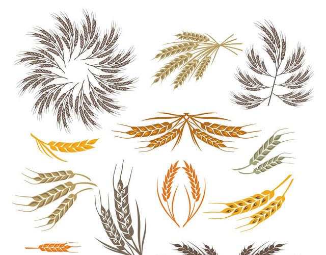 小满芒种农场劳动劳作小麦PNG