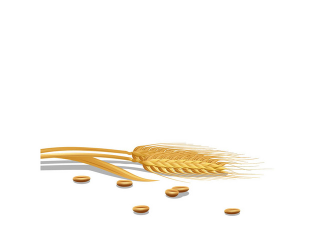稻谷农场劳动劳作PNG