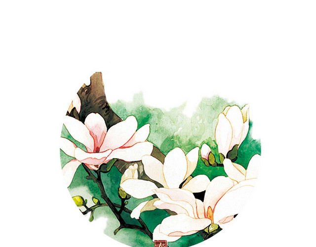 中国传统节气春分木兰花素材