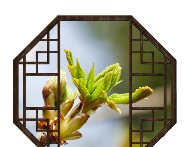 古风边框窗棂素材
