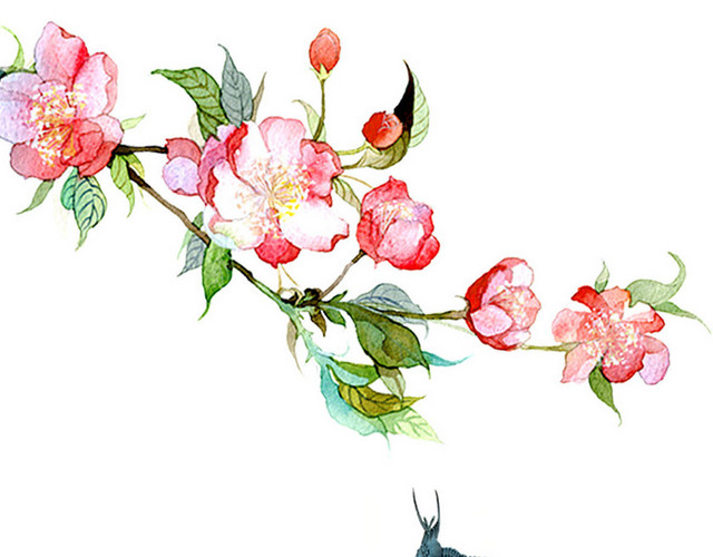 春天清明时节花朵素材