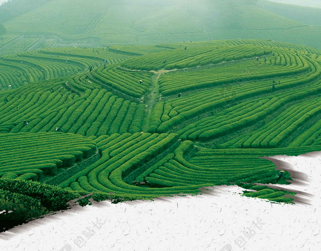 古风茶地茶具风景新茶上市春茶茶叶促销宣传海报背景