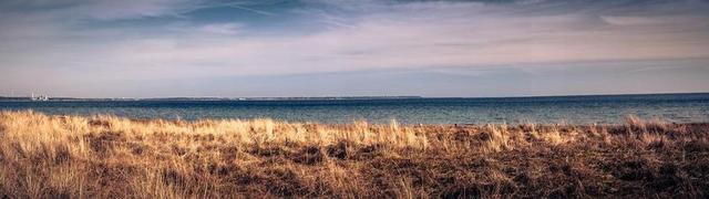 波罗的海 海 蒂门多夫海滩 海岸 海滩 景观 海滩风景 草