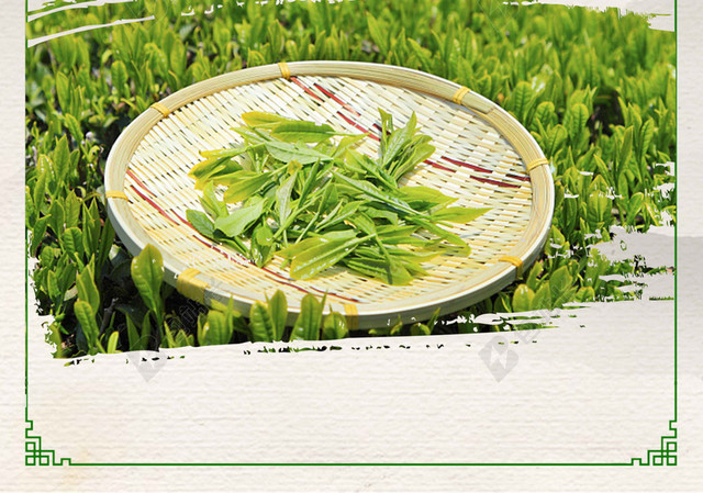 古风山水茶田茶具绿茶新茶春茶上市海报背景