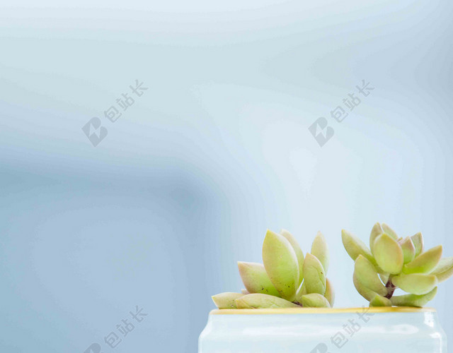 白色花盆绿色植物早安梦想海报背景
