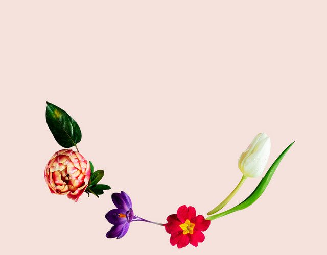 母亲节花卉花朵素材