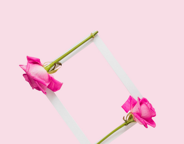 母亲节教师节鲜花边框花卉花朵边框素材
