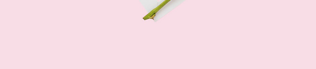母亲节教师节鲜花边框花卉花朵边框素材