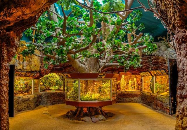 水族馆 鱼 水下 临海 恩森 斯德哥尔摩 瑞典 引力 旅游