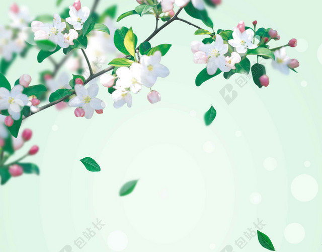 白花绿叶花草卡通4月你好海报背景