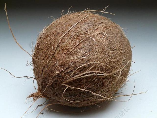 椰子 异国情调 甜 棕榈 地中海 食品 核果 美味 吃