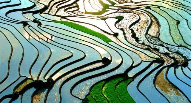 画家时尚艺术分层油画背景图片