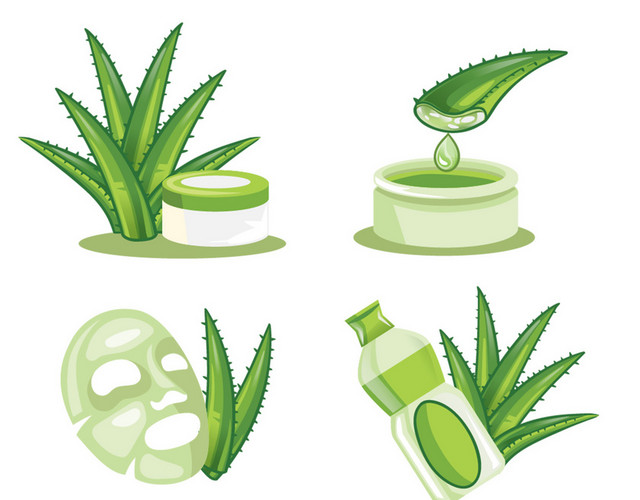 美容 护肤各种绿色芦荟闪光露珠PNG素材