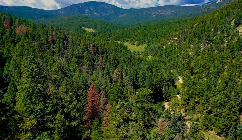 自然 谷 树 景观 户外 夏天 自然景观 景区 云 农村