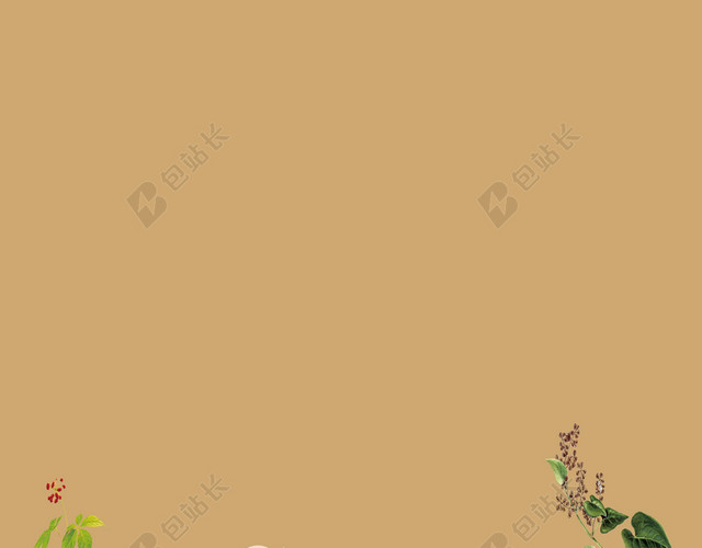 古风绿叶人物用具中医养生足疗海报背景