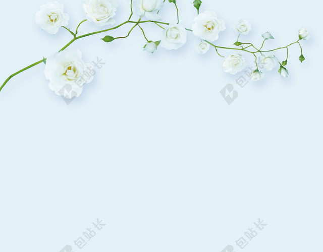 蓝白花朵防晒霜护肤品化妆品活动促销海报背景