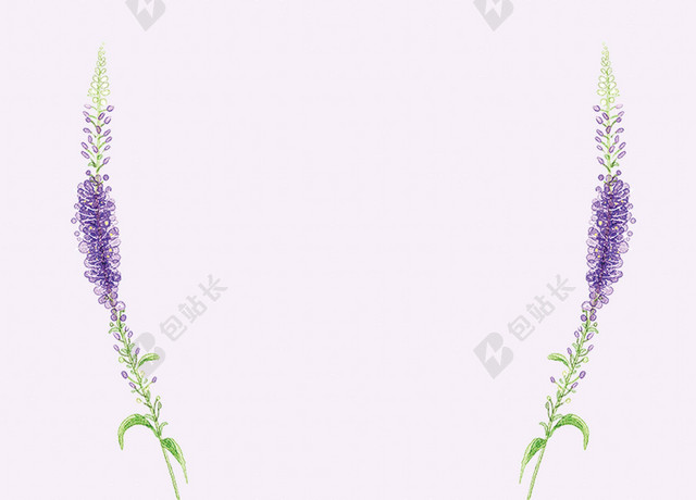 紫色花朵彩带精油美容养生护肤海报背景