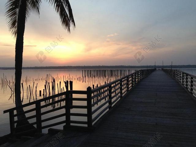 日落 棕榈树 地平线 木桥 海边 海 海洋 天堂 侧影