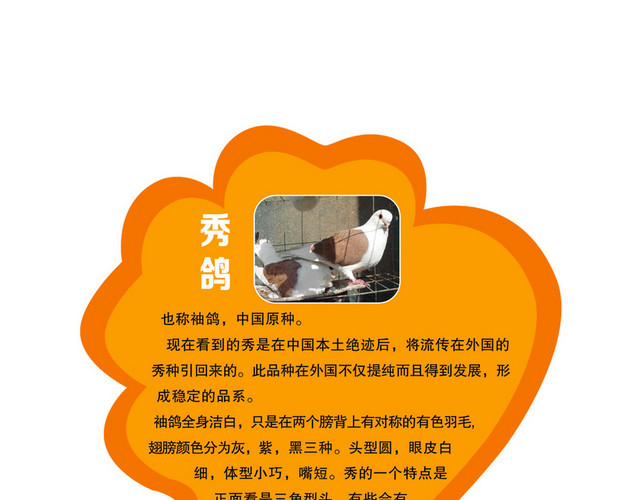 动物牌介绍牌
