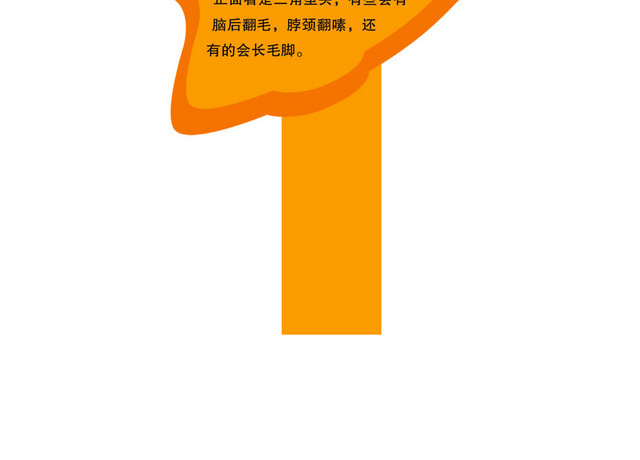 动物牌介绍牌