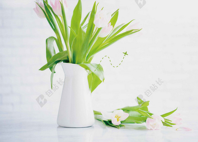 白色花瓶绿叶5月你好海报背景