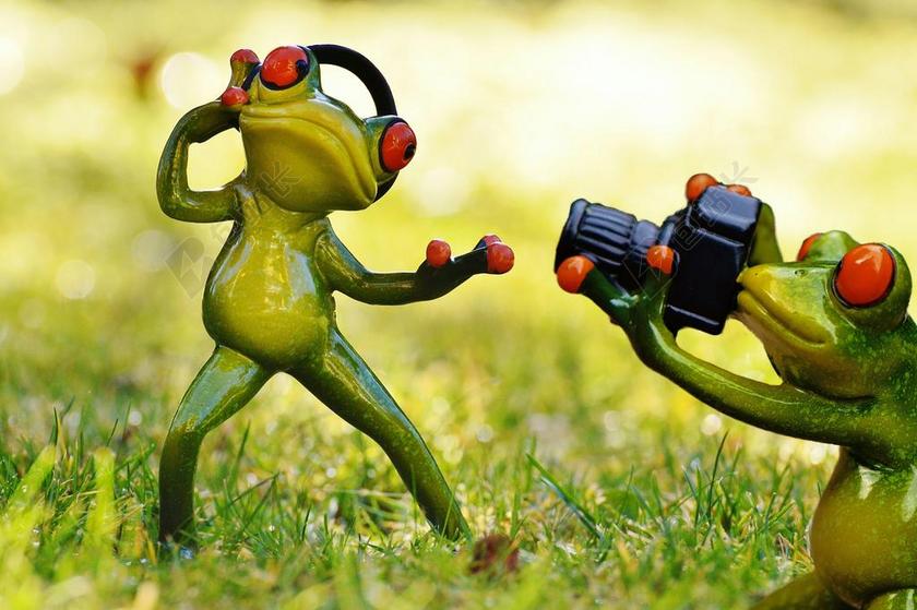 青蛙 摄影师 头戴式耳机 拍摄照片 照片 乐趣 动物 滑稽