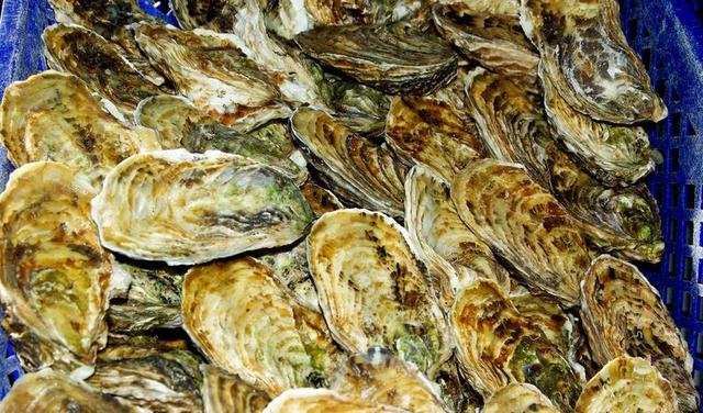 牡蛎 法国 炮弹 海鲜