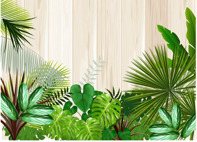 夏天封面树叶边框素材
