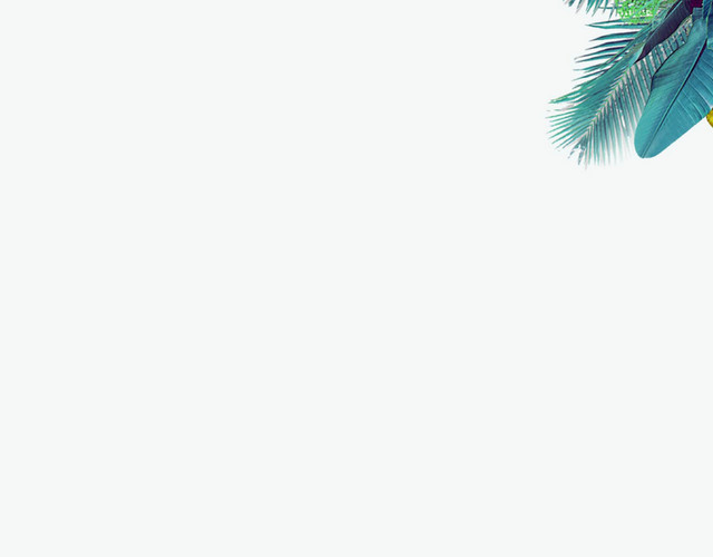 夏天植物封面素材