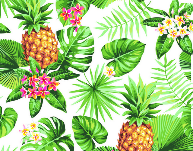 夏天植物封面素材