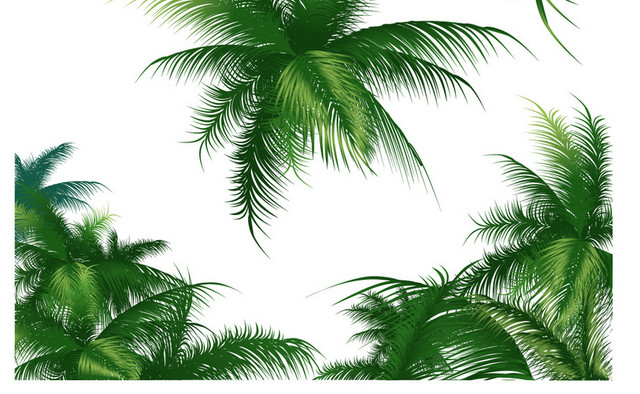 椰子树夏天素材