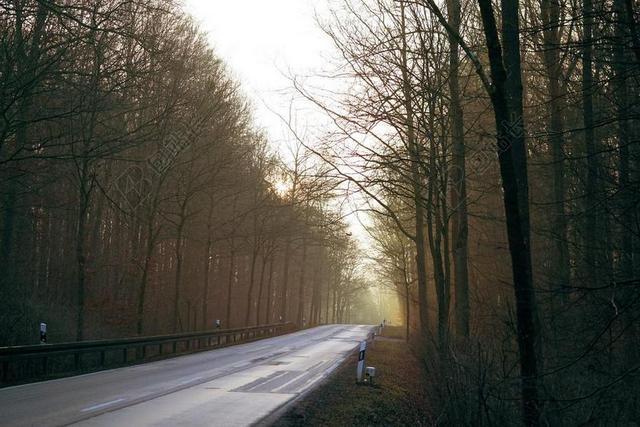 路 离 景观 沥青 性质 道路 乡村道路 树木 路邮政