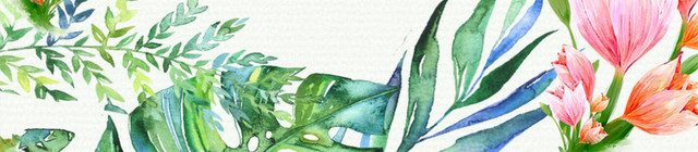 绿色热带植物鲜花装饰小清新边框免抠素材