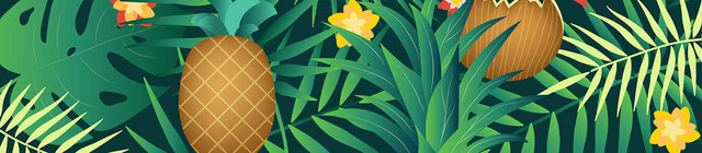 夏天热带果实植物鲜花纹边框PNG素材
