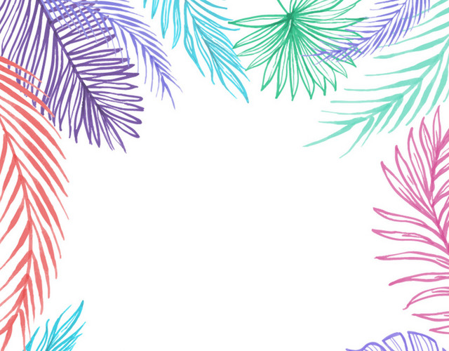 热带夏天植物卡通树叶边框PNG免抠素材