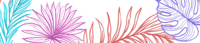 热带夏天植物卡通树叶边框PNG免抠素材