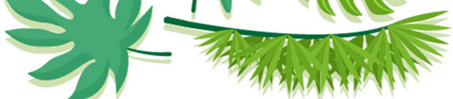 热带夏天植物卡通树叶边框PNG免抠素材