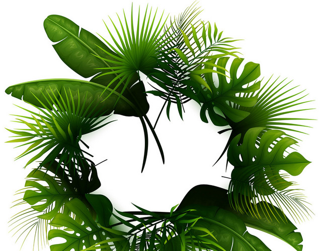 绿色热带植物装饰小清新免抠素材