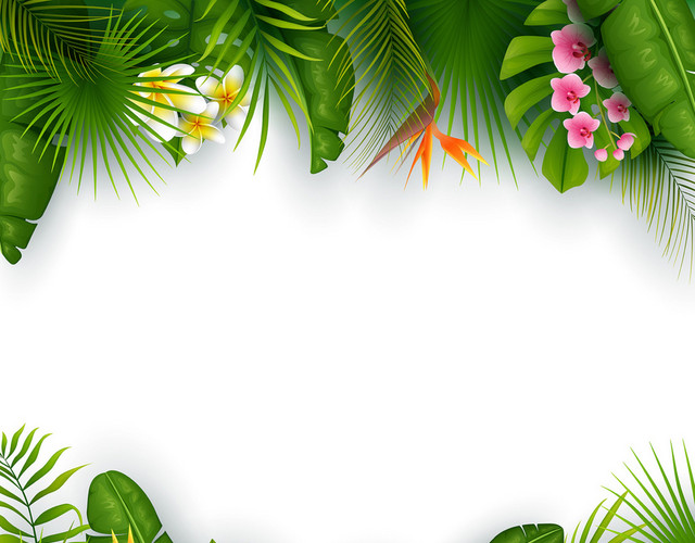 夏天手绘植物丛林热带花朵边框装饰PNG