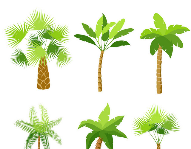 夏天椰子树热带植物素材